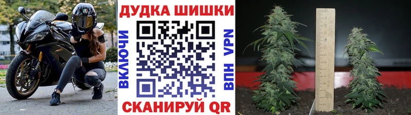 Конопля Bruce Banner  Купить  Боготол 